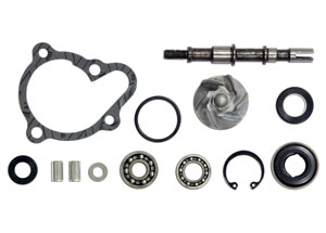 Water Pump Kit Kymco 250 Dink